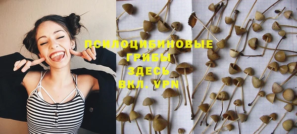 MDMA Premium VHQ Волоколамск