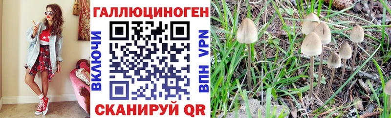 Псилоцибиновые грибы мицелий  Снежинск 